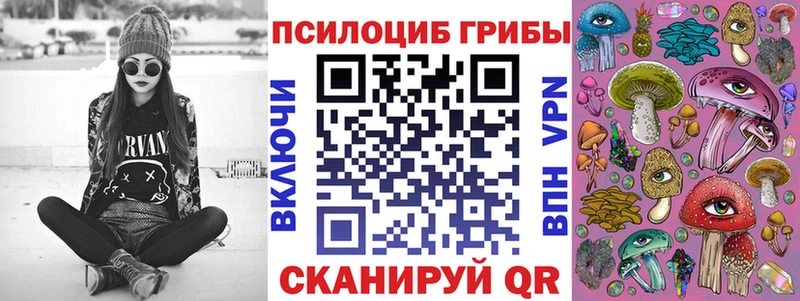 маркетплейс как зайти Вуктыл Псилоцибиновые грибы Psilocybe